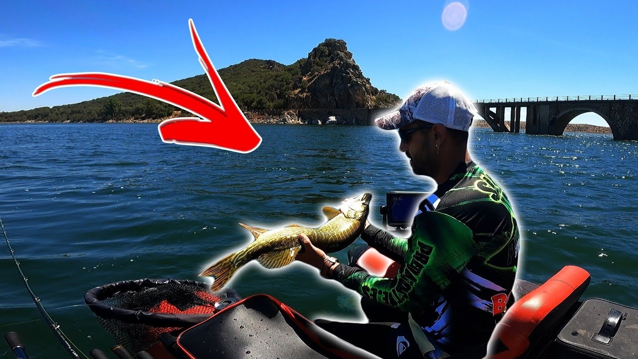 PESCO un LUCIO con el SUBMISSION!