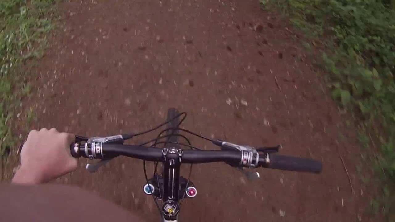 Mountain Biking LBA Woods