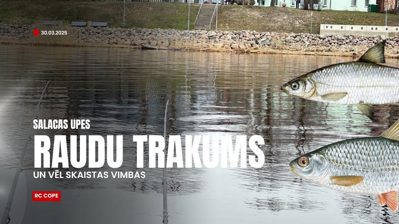 RAUDAS ķeras viena pēc otras, 41 cm VIMBA un vēl dažādi brīnumi