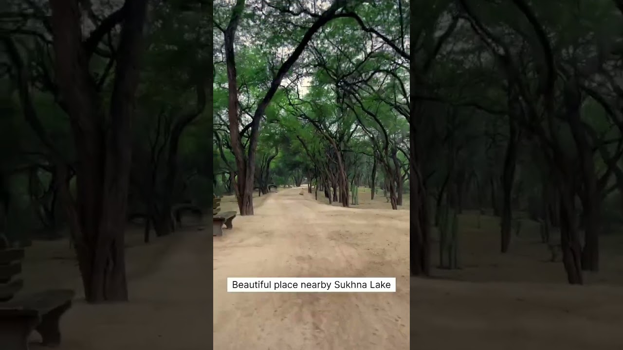 Lake forest |Chandigarh tourist place #shorts #trending @itsvkvlogs8342