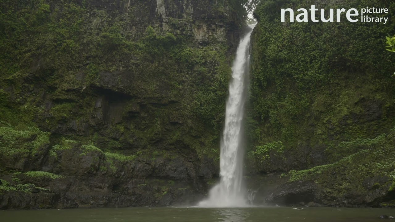 Waterfall at Nandroya Falls falling into lake, Atherton Tablelands, Queensland, Australia.