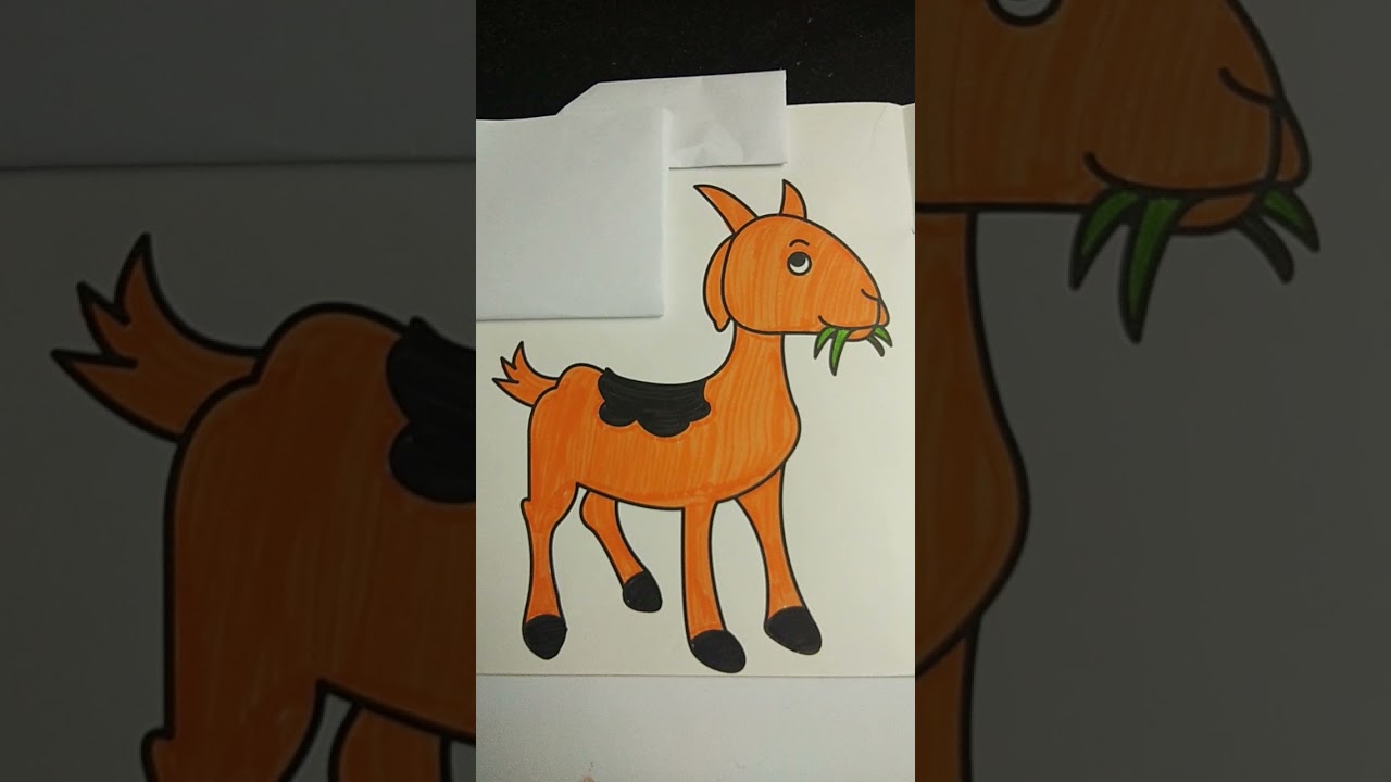 Goat drawing and colors painting