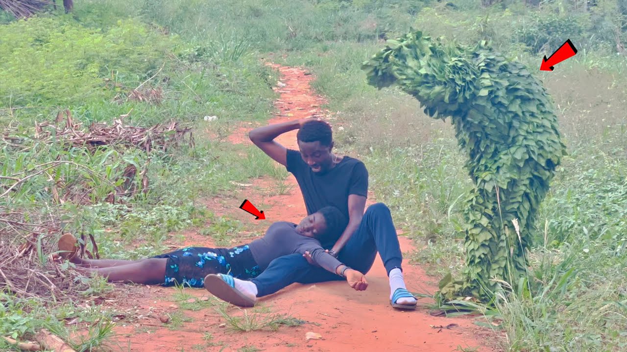 BEST OF BUSHMAN PRANKS 2023
