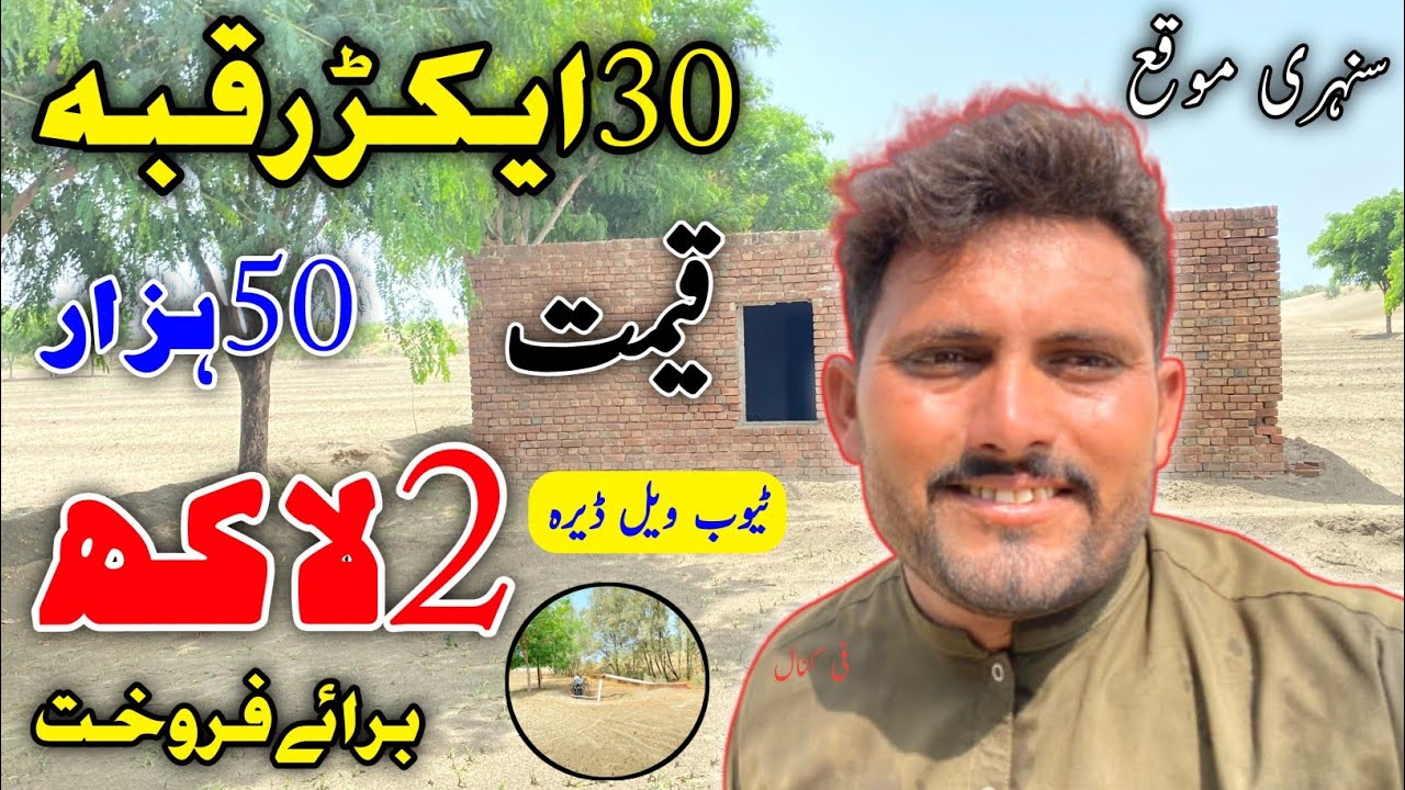 30 Acre Agricultural Land for Sale in Punjab, Pakistan | Low Price | Land for Sale ||Zameen for sale