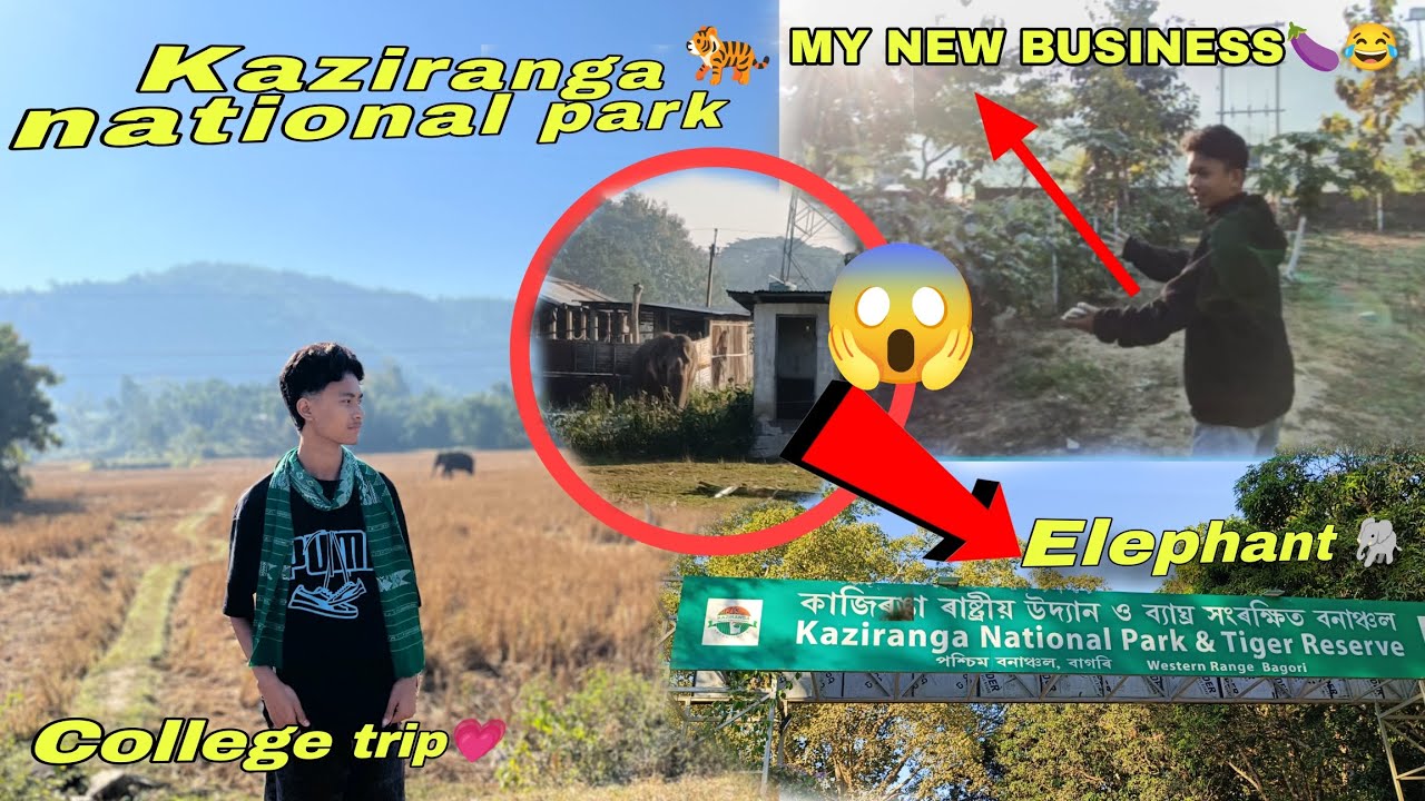 Mushalpur to kaziranga national park 💗//Kaziranga trip with collage friends 😱🐘 //'Enjoy 😀