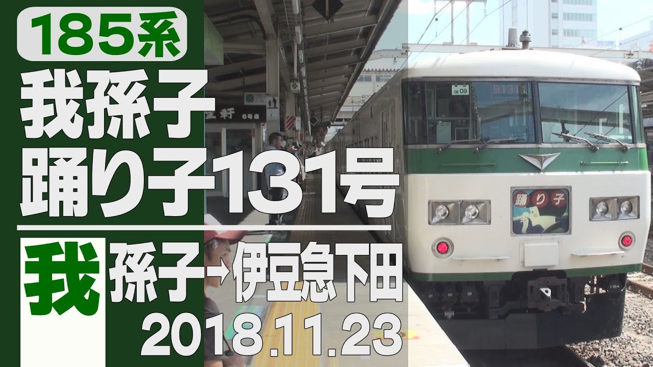 【車窓】185系「踊り子」131号 我孫子→伊豆急下田