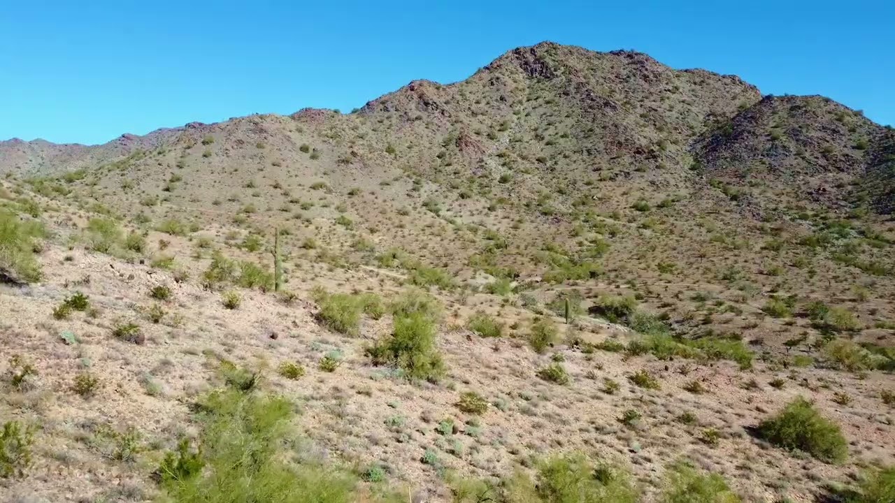 Flight of the Phoenix
