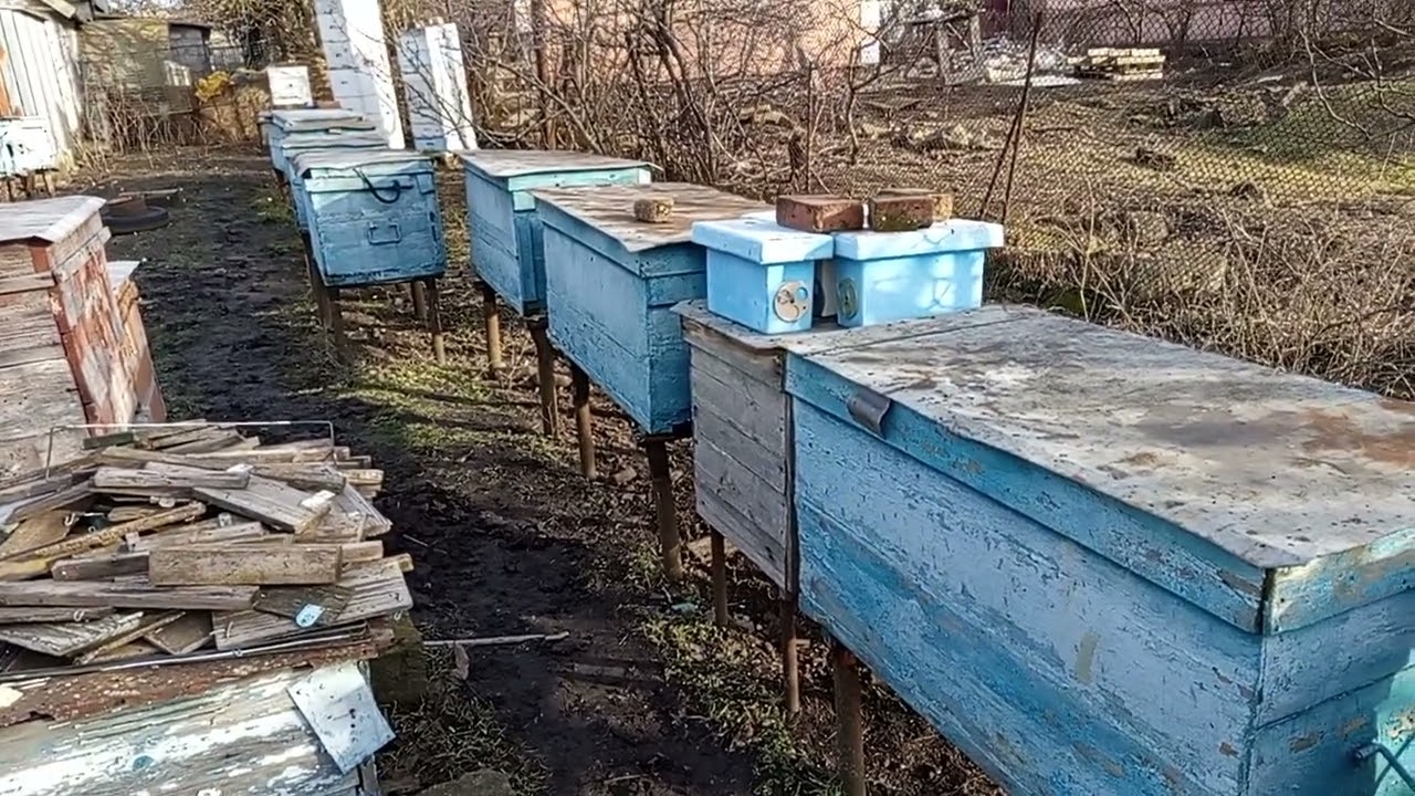 Мои первые выводы и анализ ошибок после зимовки.