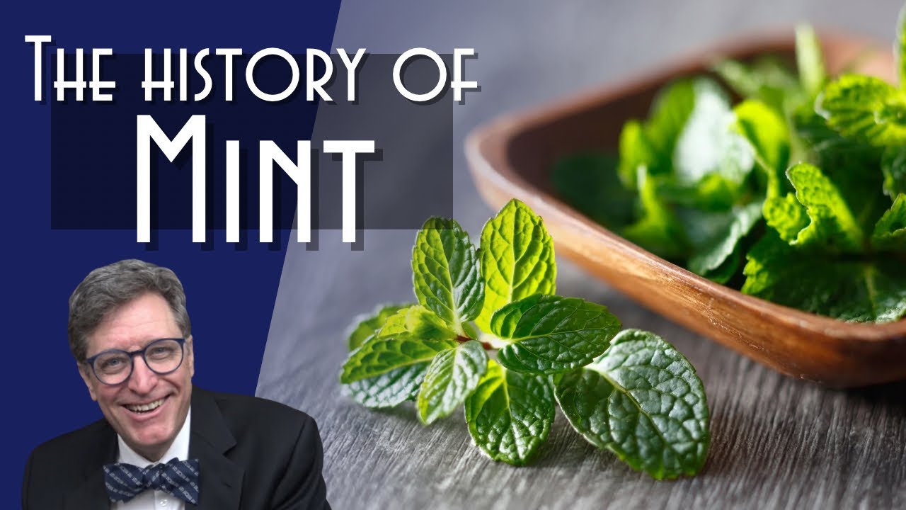 Cool: A History of Mint