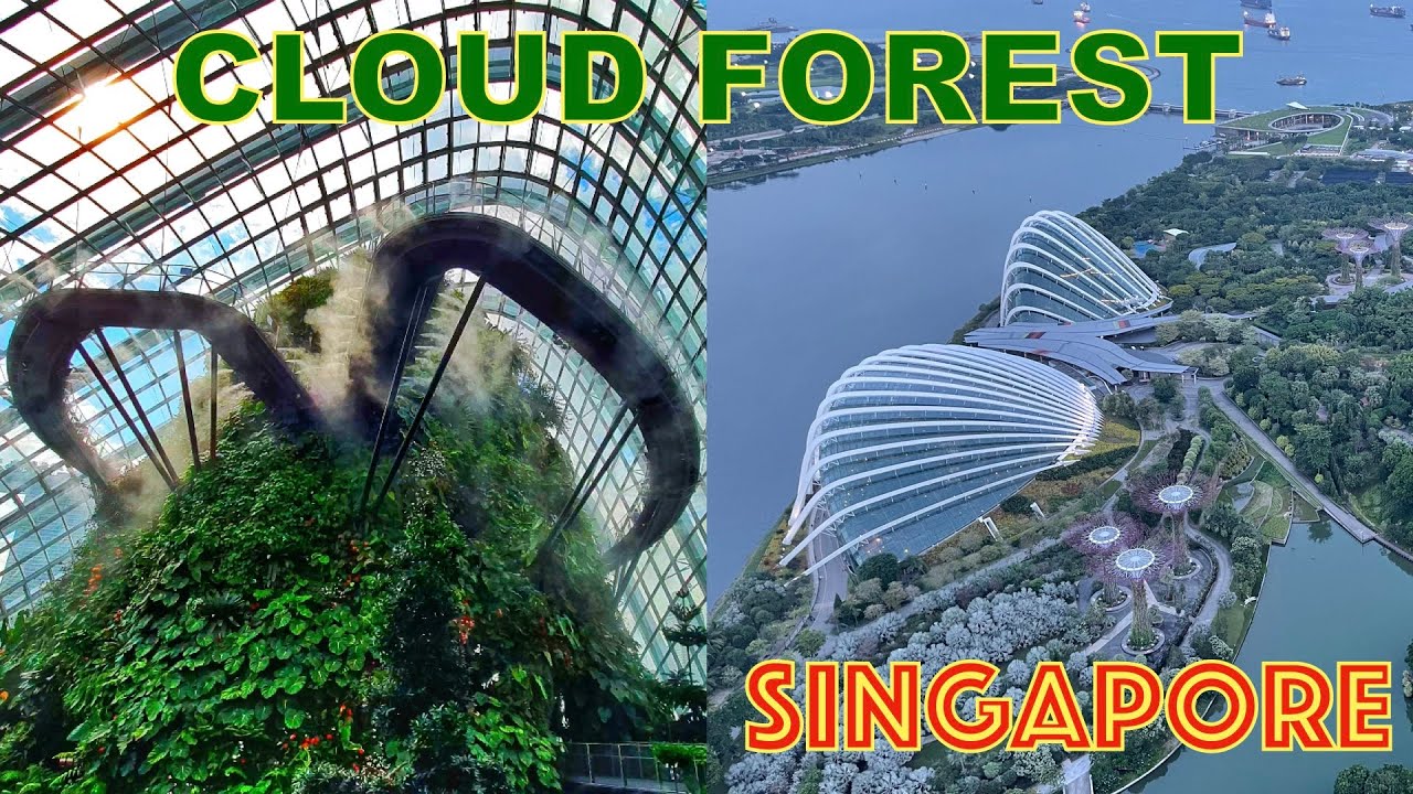 Wandering in the Misty Mountains (Cloud Forest, Singapore) || Travel Buddies Films ||