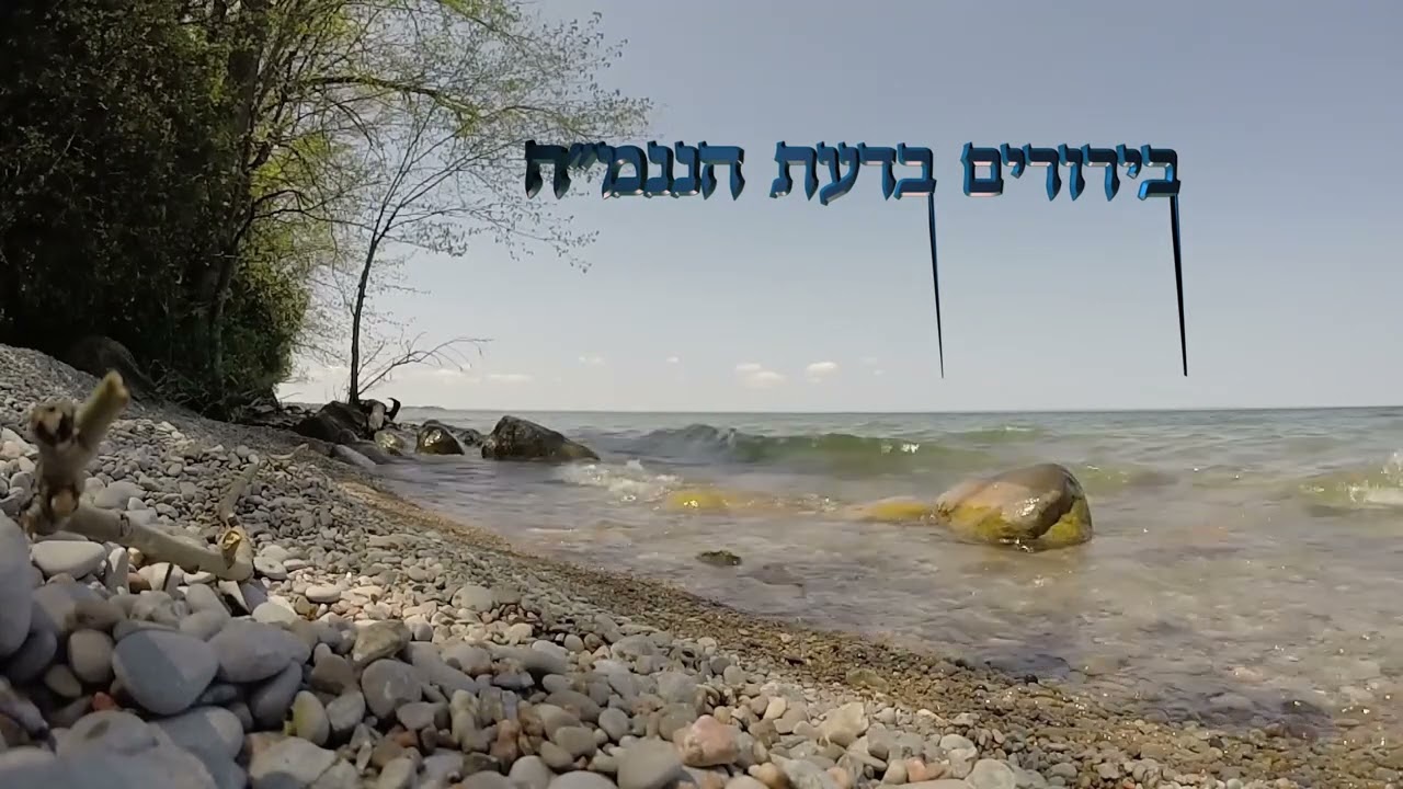 אור צדיקים ישמח ❤️‍🔥 אמונת חכמים שלמה - הרב אברהם פלג כהן
