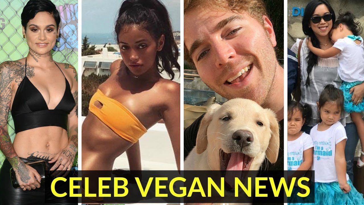 Kehlani, Cindy Kimberly, Shane Dawson, itsjudy + more! Mukbang Response