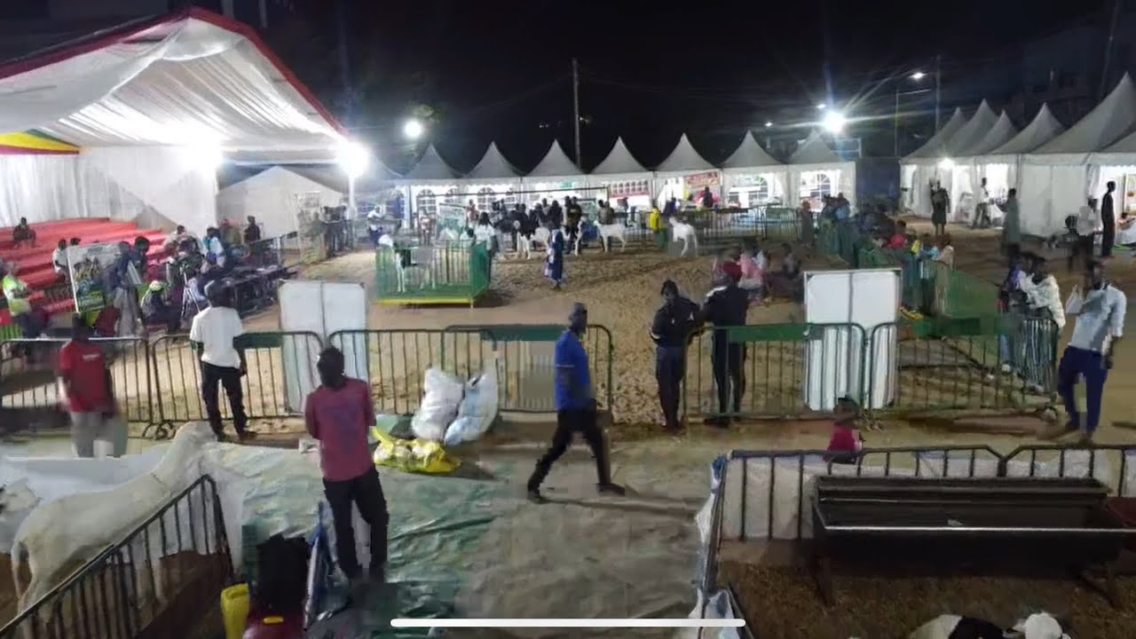 FOIRE RAMADAN SICAP MBAO PASSAGE AGNEAUX AGNELLES