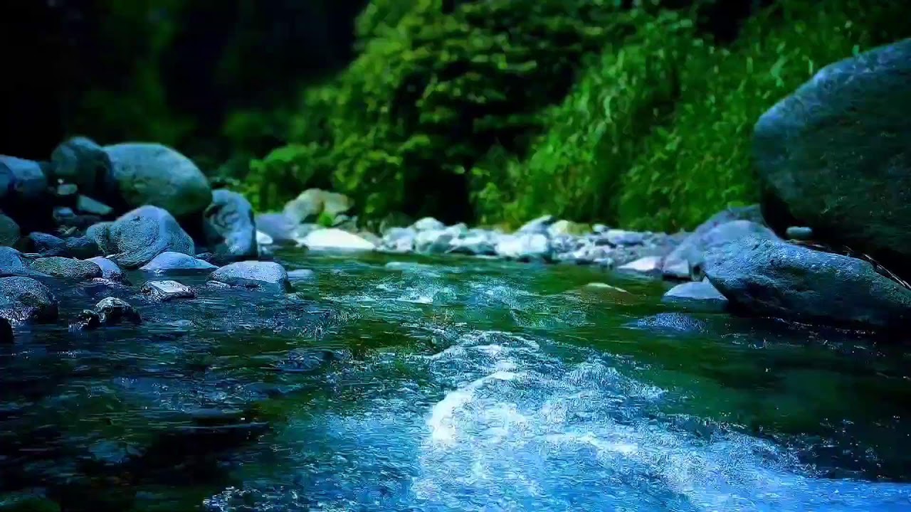 🌊 Calming River Water ASMR Sounds for Sleep Therapy & Anxiety Relief
