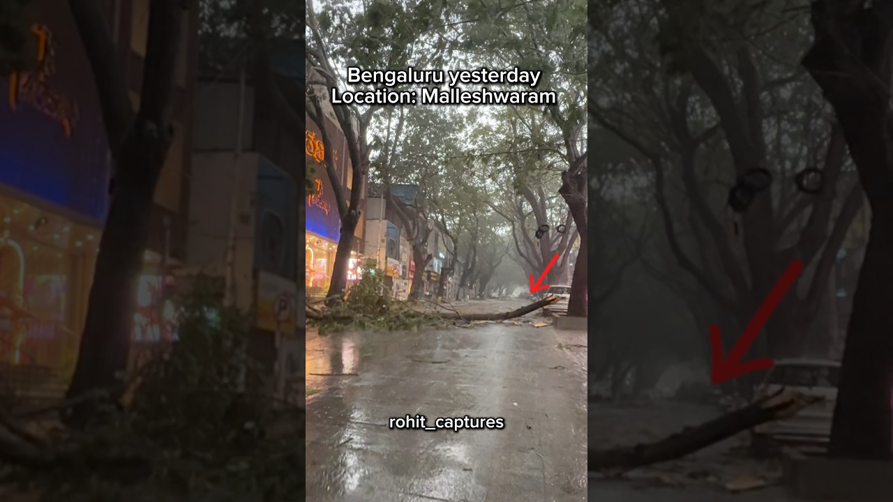 Bengaluru Malleshwaram rain #travel #ytshorts