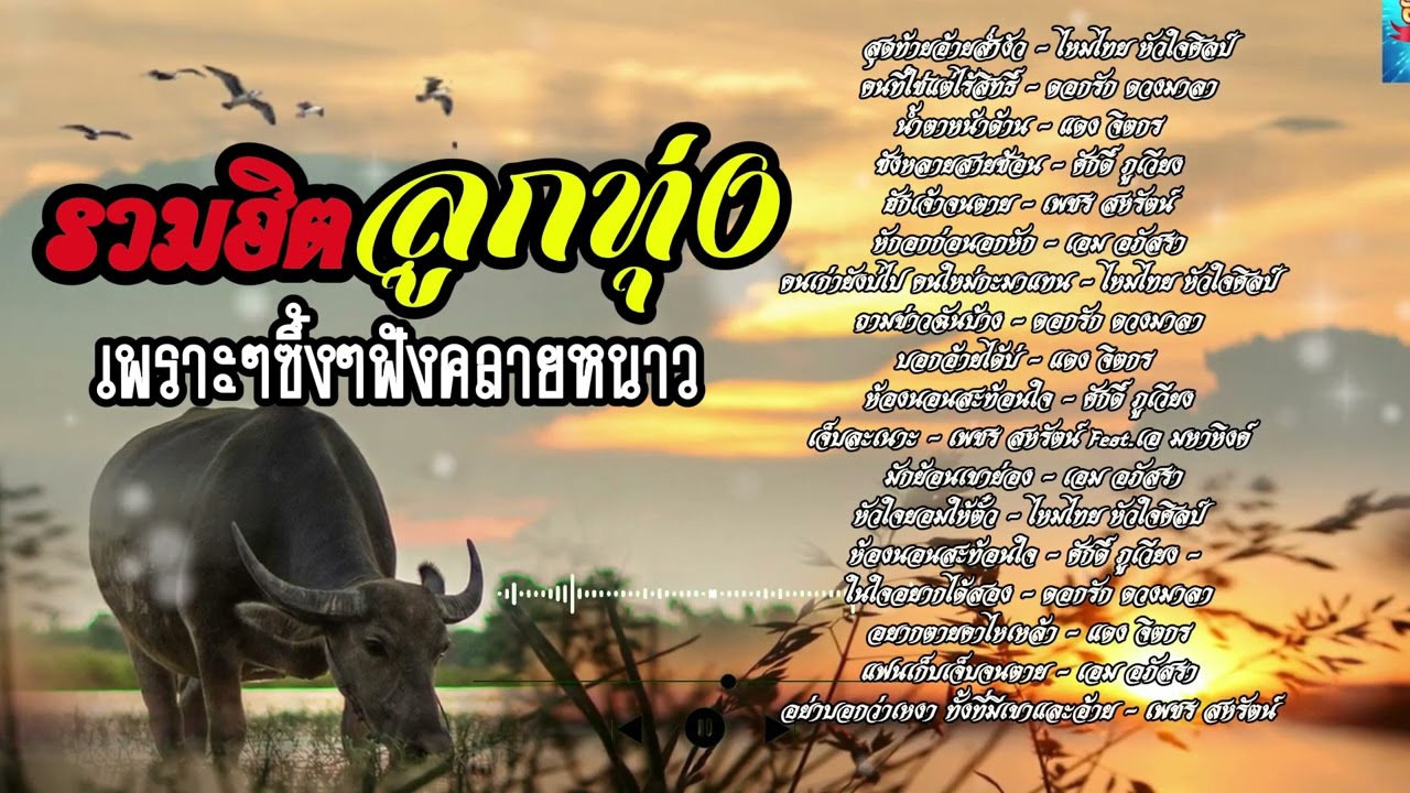 รวมฮิตลูกทุ่งเพราะๆซึ้ง ฟังคลายหนาว