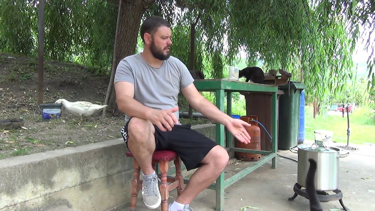 MANCARE GATITA PENTRU CAINI ( un ciobanesc mioritic abandonat episodul 7)