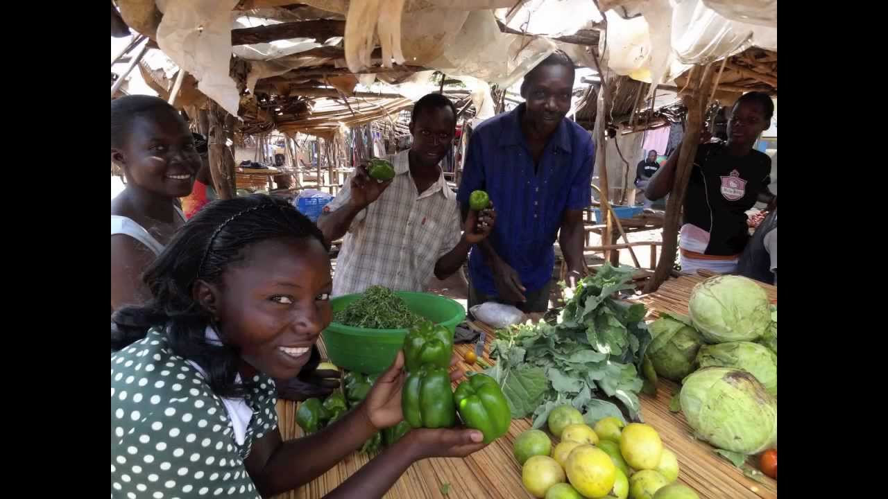 Village Enterprise - Creating Sustainable Businesses