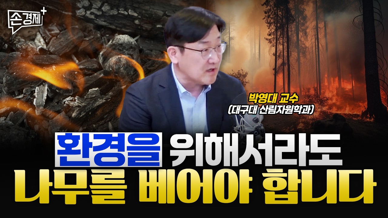 숲을 되살리는 덴 100년이 걸립니다 -박영대 교수(대구대 산림자원학과)