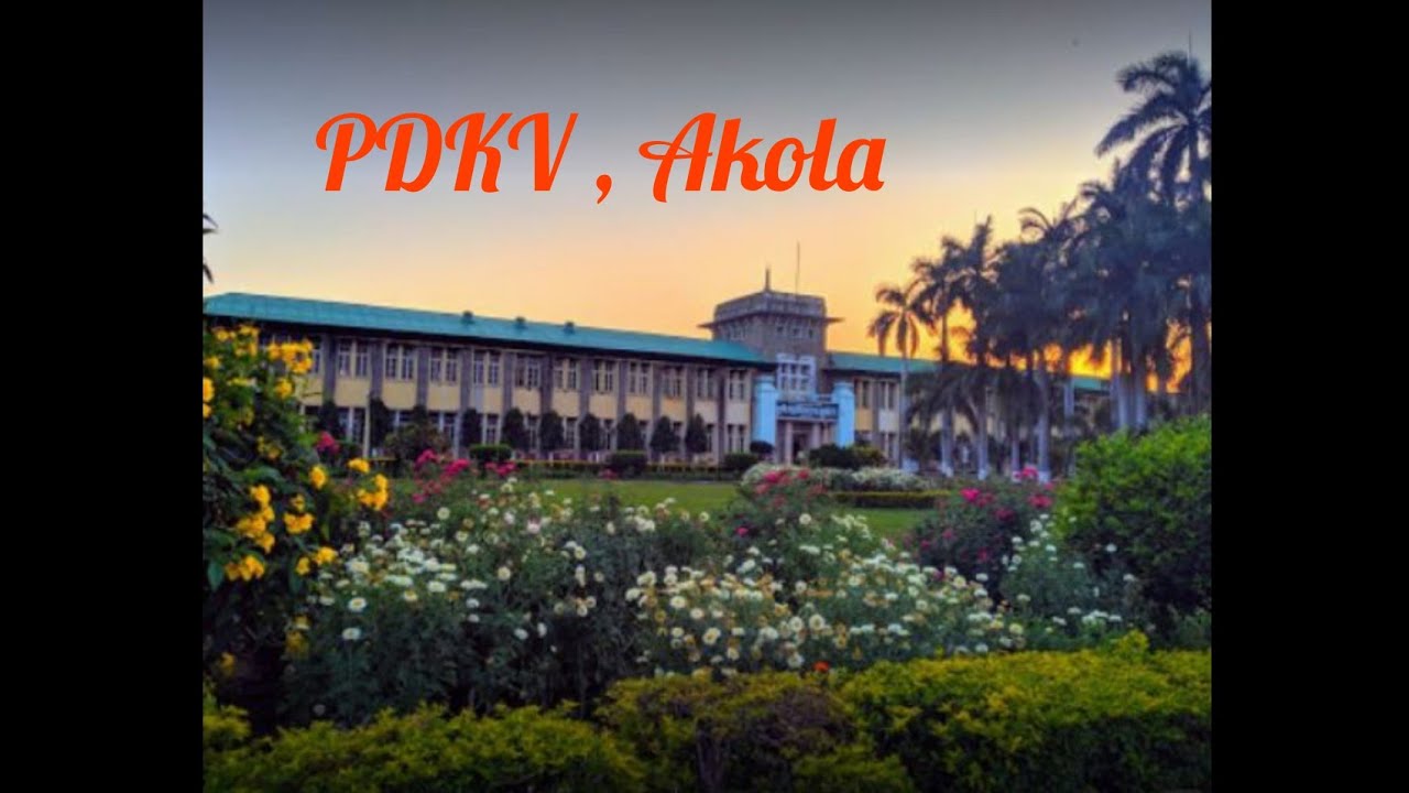 PDKV Campus Tour 😀 | Akola  | Dr. Panjabrao Deshmukh Krishi Vidyapeeth  #pdkv #collegecampus #akola