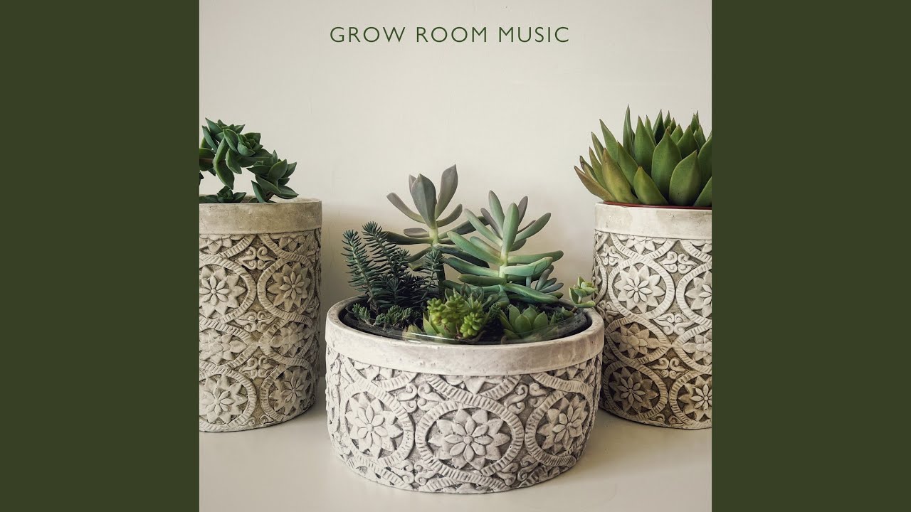 Grow Room Music
