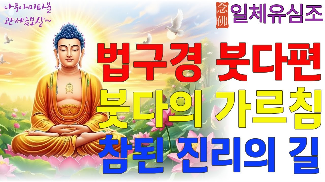 붓다의 가르침   진리의 빛   #붓다 #부처님가르침 #진리의빛 #자비 #지혜