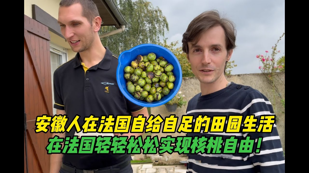 在法國愜意的田園生活，滿地的核桃無人撿？直接實現核桃自由！