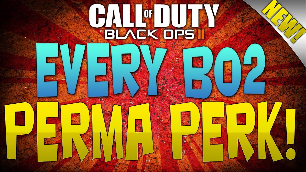 EVERY Perma Perk In Black Ops 2 (Buried, Die Rise, and Tranzit)