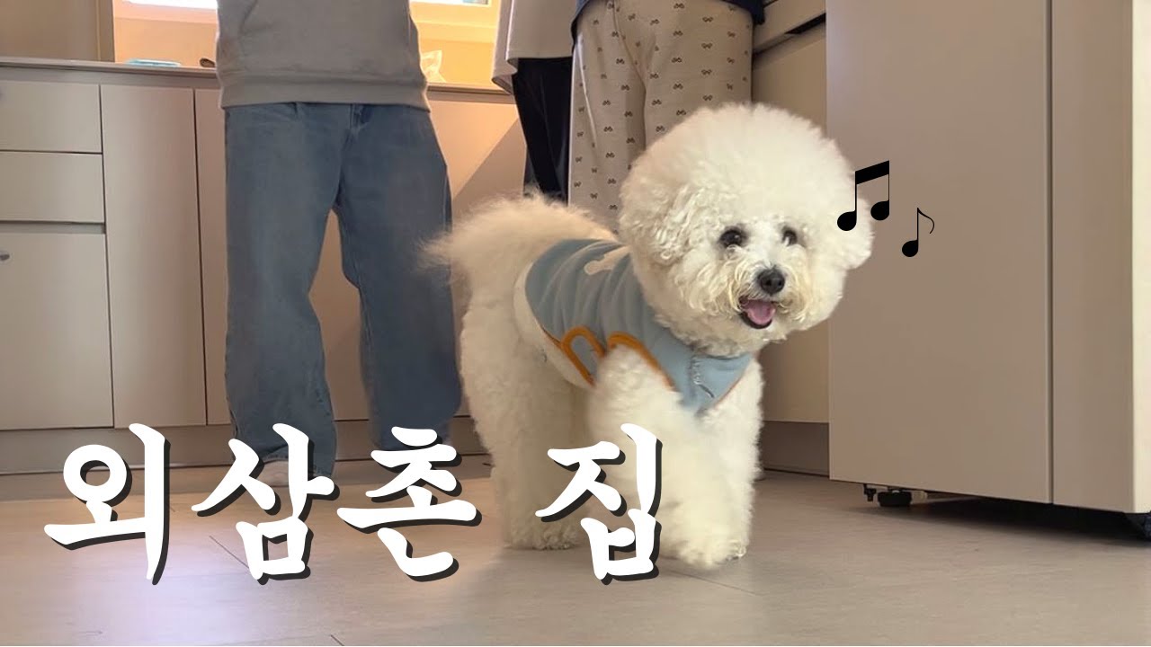 [Vlog] 광명시장에서 외삼촌네 집까지 [ 강아지와 가족시간 | 광명시장 맛집 | 산책코스 ]