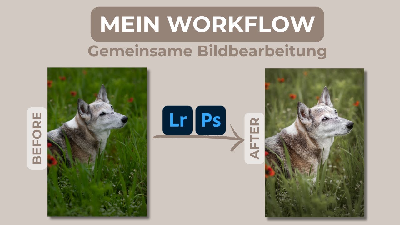 Bildbearbeitung Hundfotografie/ Pferdefotografie | Mein Workflow in Photoshop | Hundebild bearbeiten
