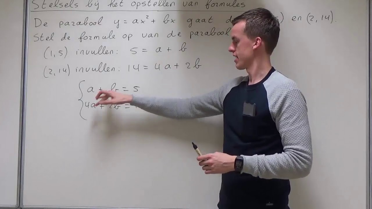 Stelsels bij het opstellen van formules (HAVO wiskunde B)