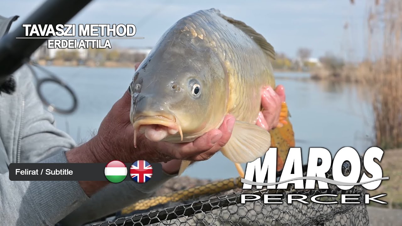MAROS PERCEK- Erdei Attila tavaszi method horgászat - Törökbálint