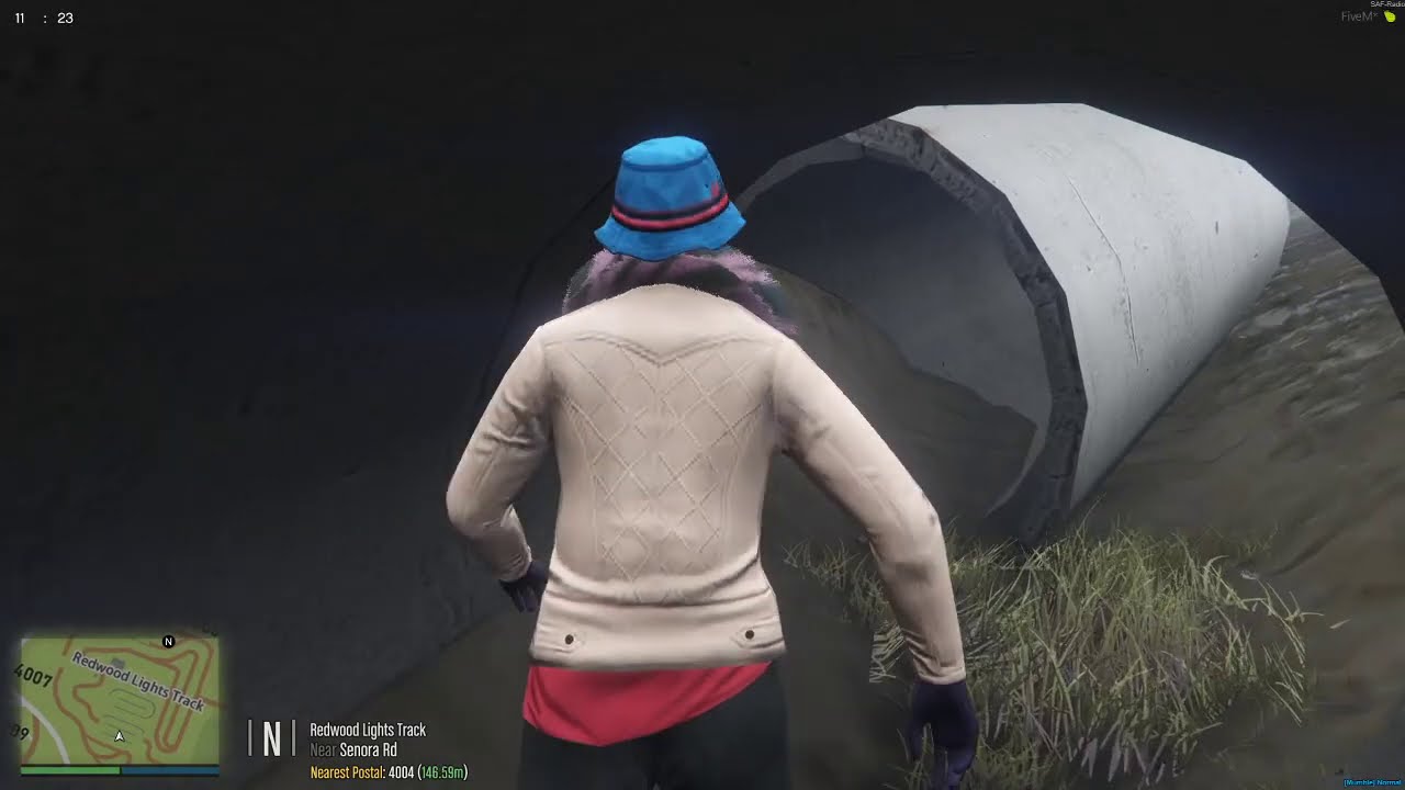 SAF Ep. 55 Granny goes for a ride