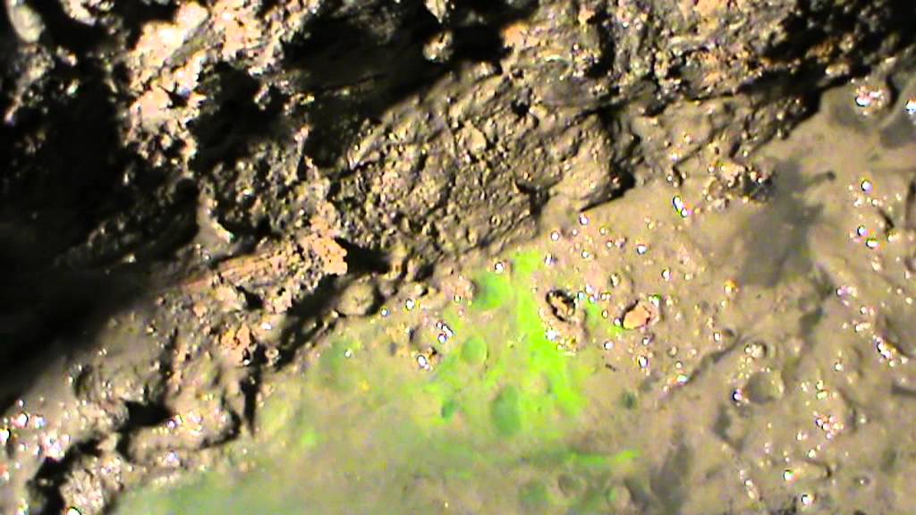 Infiltration et utilisation de fluorescéine
