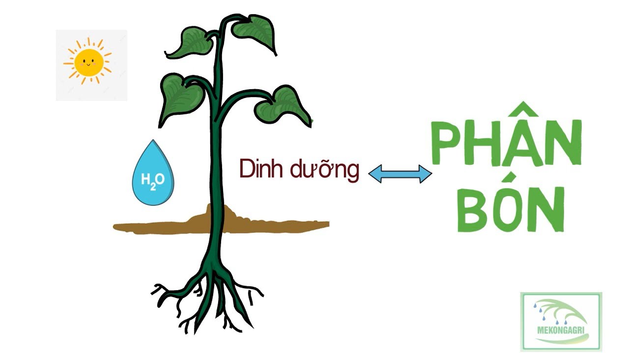 NÔNG DÂN CẦN BIẾT - KIẾN THỨC VỀ PHÂN BÓN