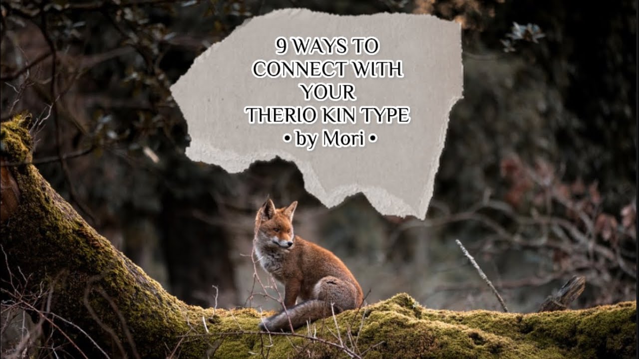 9 Ways To Connect With Your Therio Kin-Type!