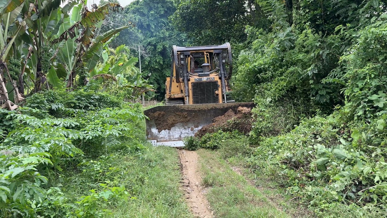 Repairing Old Plantation Roads Using D6R XL Bulldozer Techniques