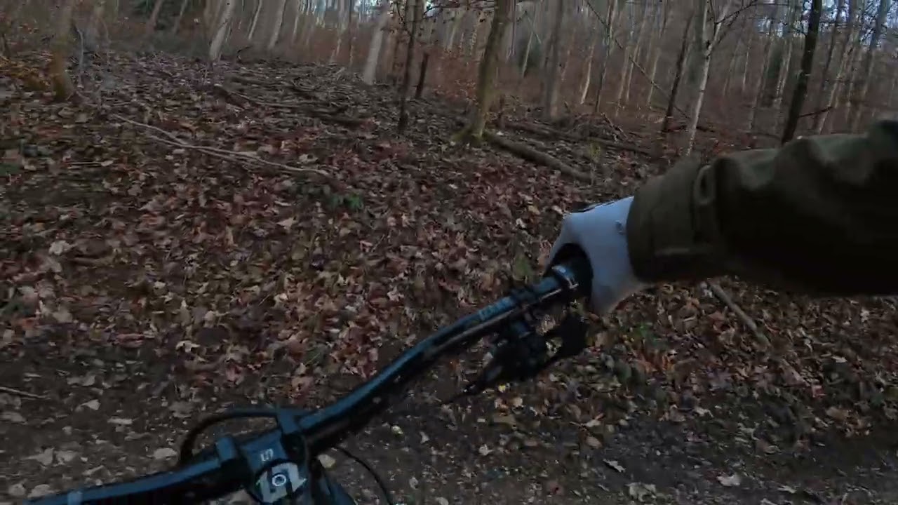 Bike Trail Arlesheim