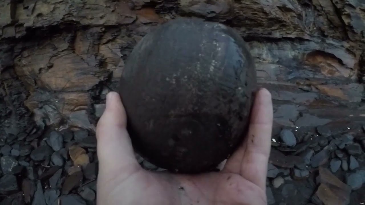 Yorkshire Fossil Hunting Sandsend #ammonites #fossils