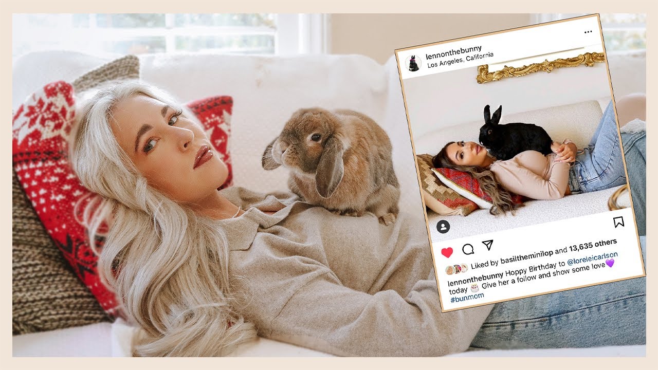 Recreating photos of FAMOUS BUNNY OWNERS (Lennon the Bunny, Bini the Bunny & more!)