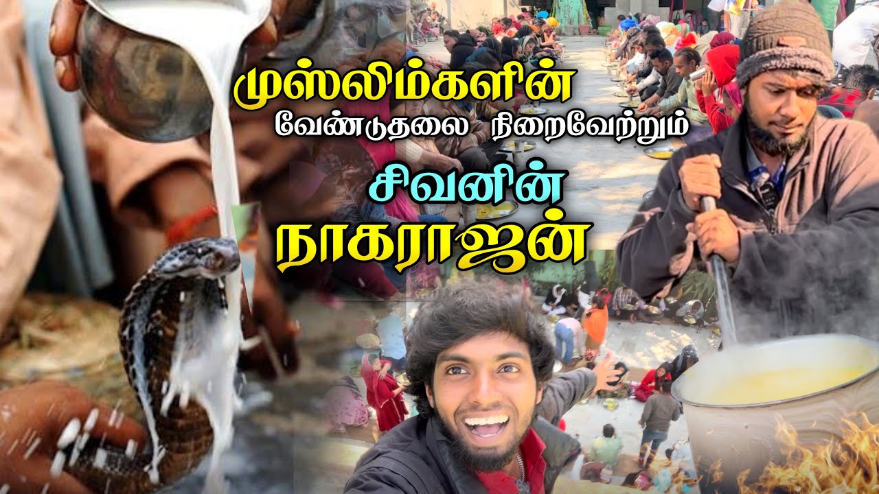 5000 இஸ்லாமியர்களையும்💫இந்துக்களையும்🕉️ ஒன்னு சேர்க்கும் நாகராஜன் 🐍 Punjab