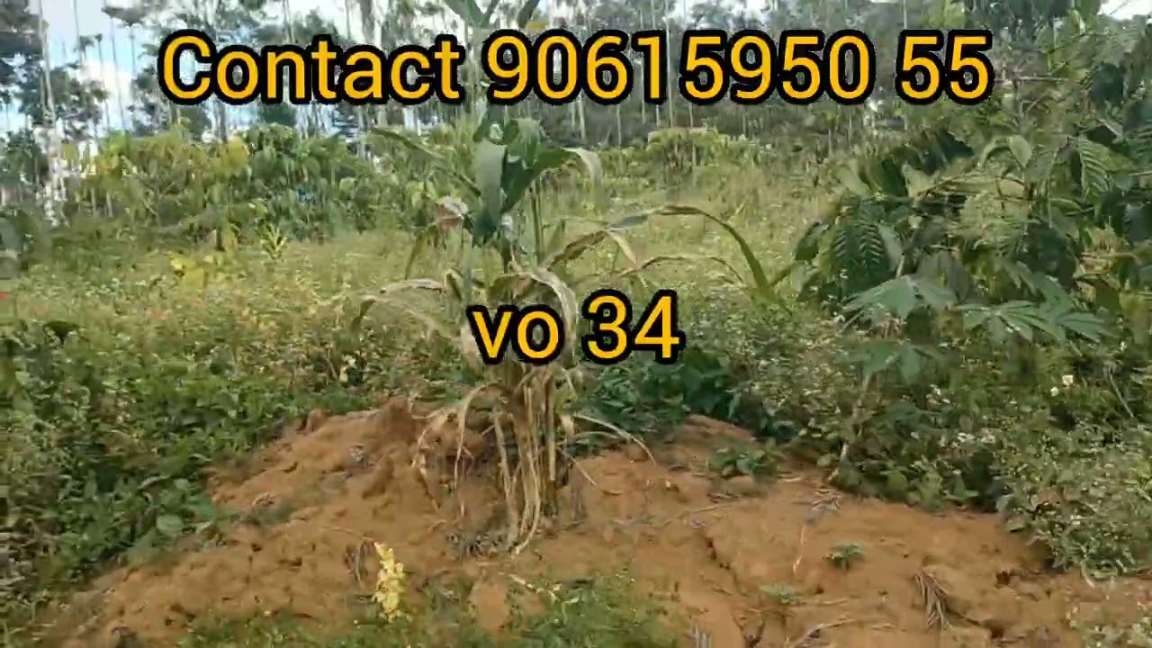 വയനാട്ടിൽ മേപ്പാടിയിൽ 48 സെൻ്റ് സ്ഥലം ന്യായവിലയിൽ