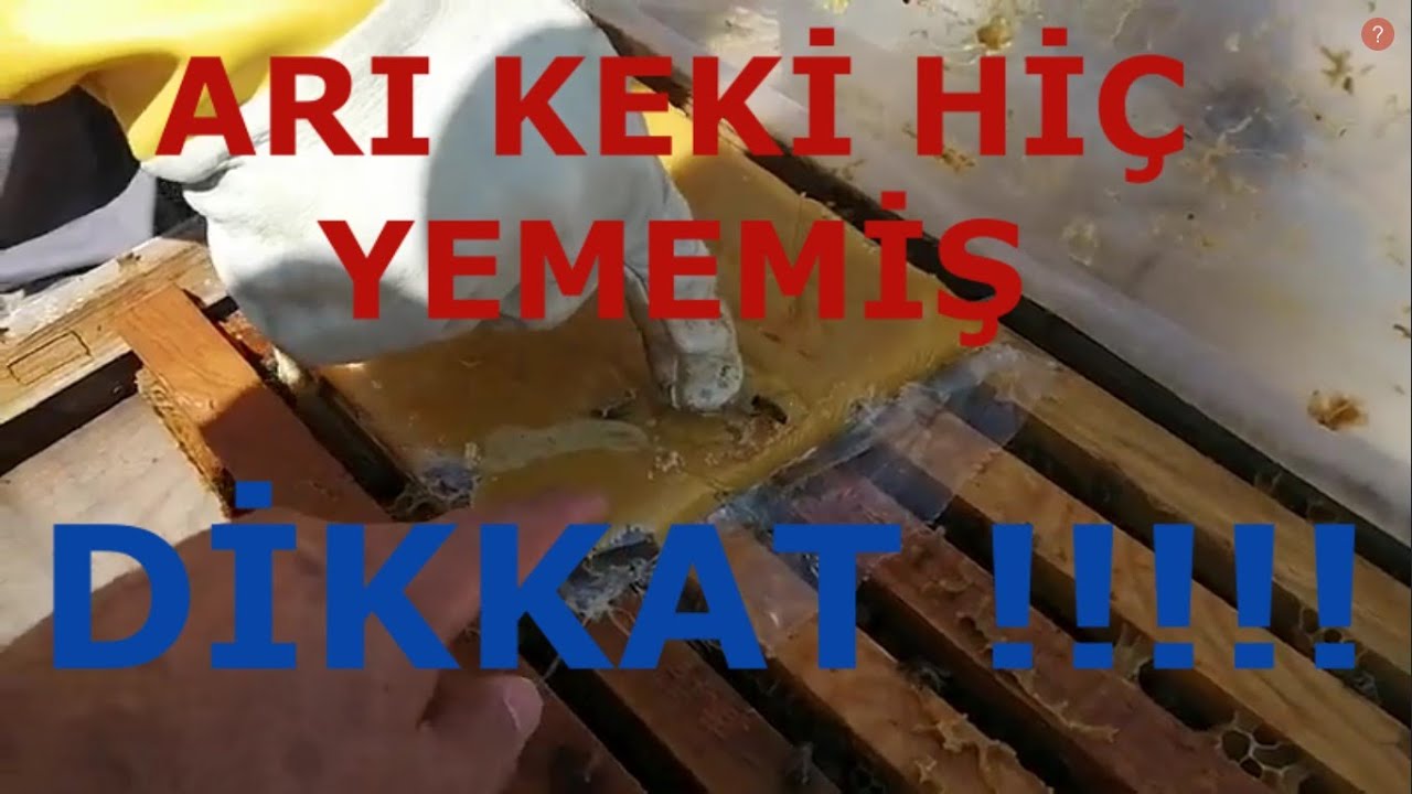 Arı neden kek yemez.