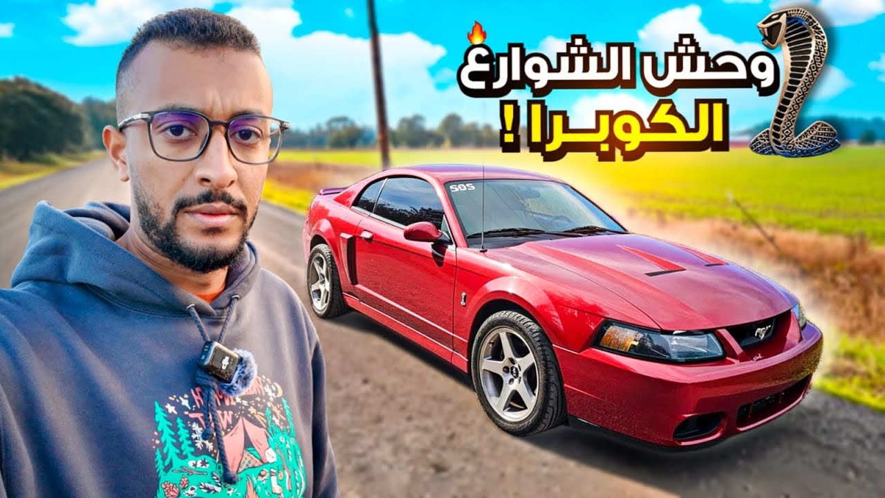 الكوبرا يكبر وكل ما يكبر يزين 😍 Ford Terminator