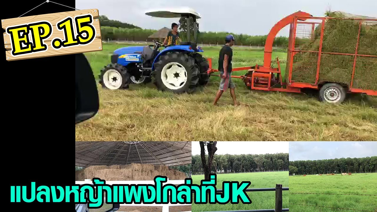 Ep.15 : แปลงหญ้าแพงโกล่าที่ JK #เจเคพนมแรนซ์