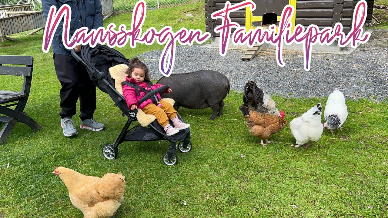 Namsskogan Familie Park