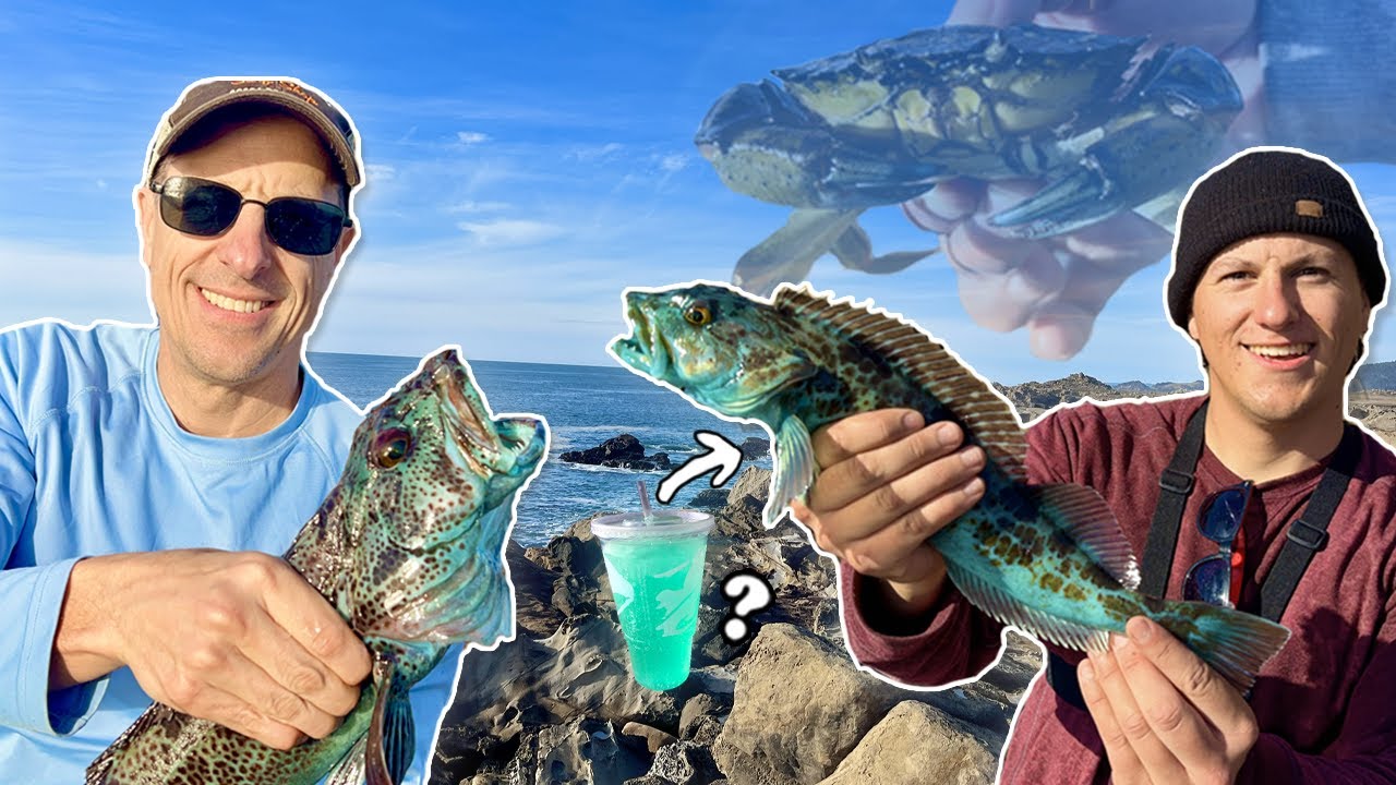 Blue Lingcod Fishing, Crabbing, and Beach Camping in Bodega Bay! SWO