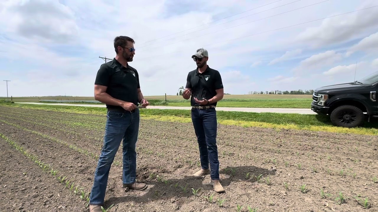 Cross Creek Ag Corn Herbicide & Foliar Combined