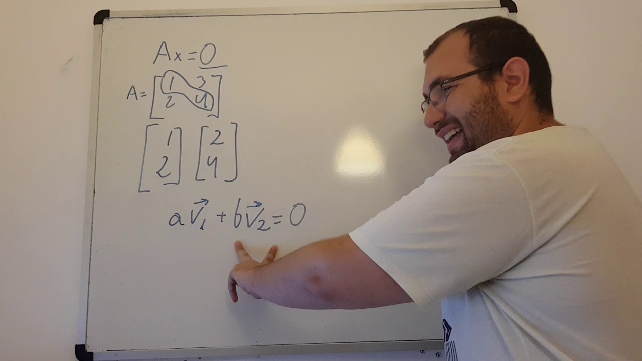 Explicacion teoria independencia lineal - Algebra lineal. Universidad Video 25