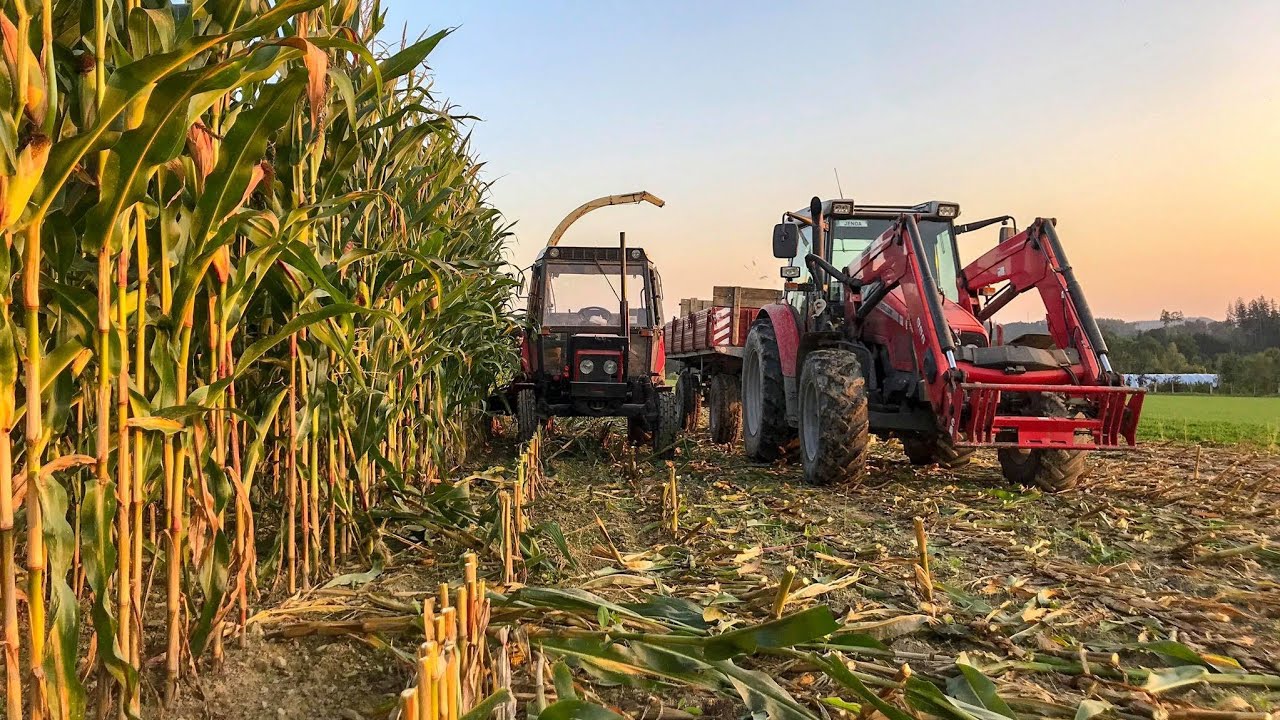 SILAŽE 2020-Massey Ferguson 5435,zetor 7745,7211
